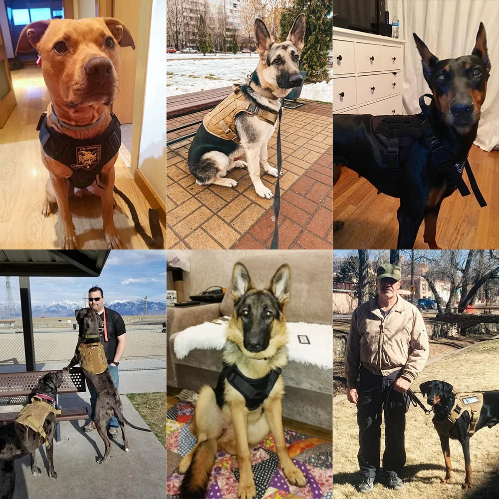Best Tactical Dog Vest Harness And Leash Set Metal Buckle Dogs Training