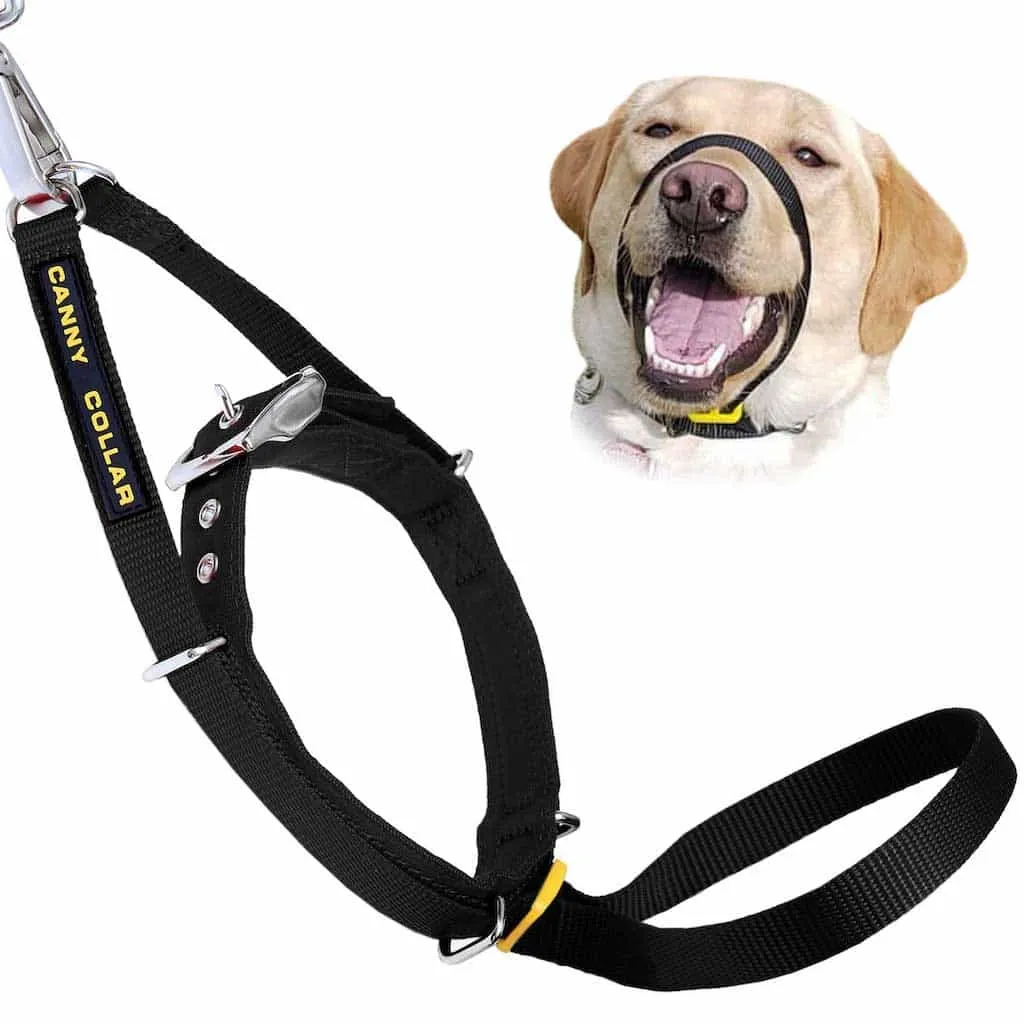 Canny Collar No Pull Dog Collar