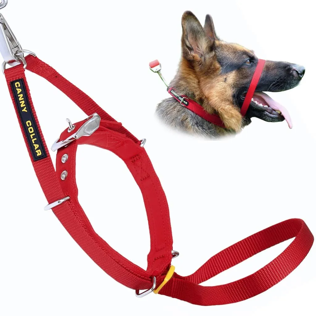 Canny Collar No Pull Dog Collar
