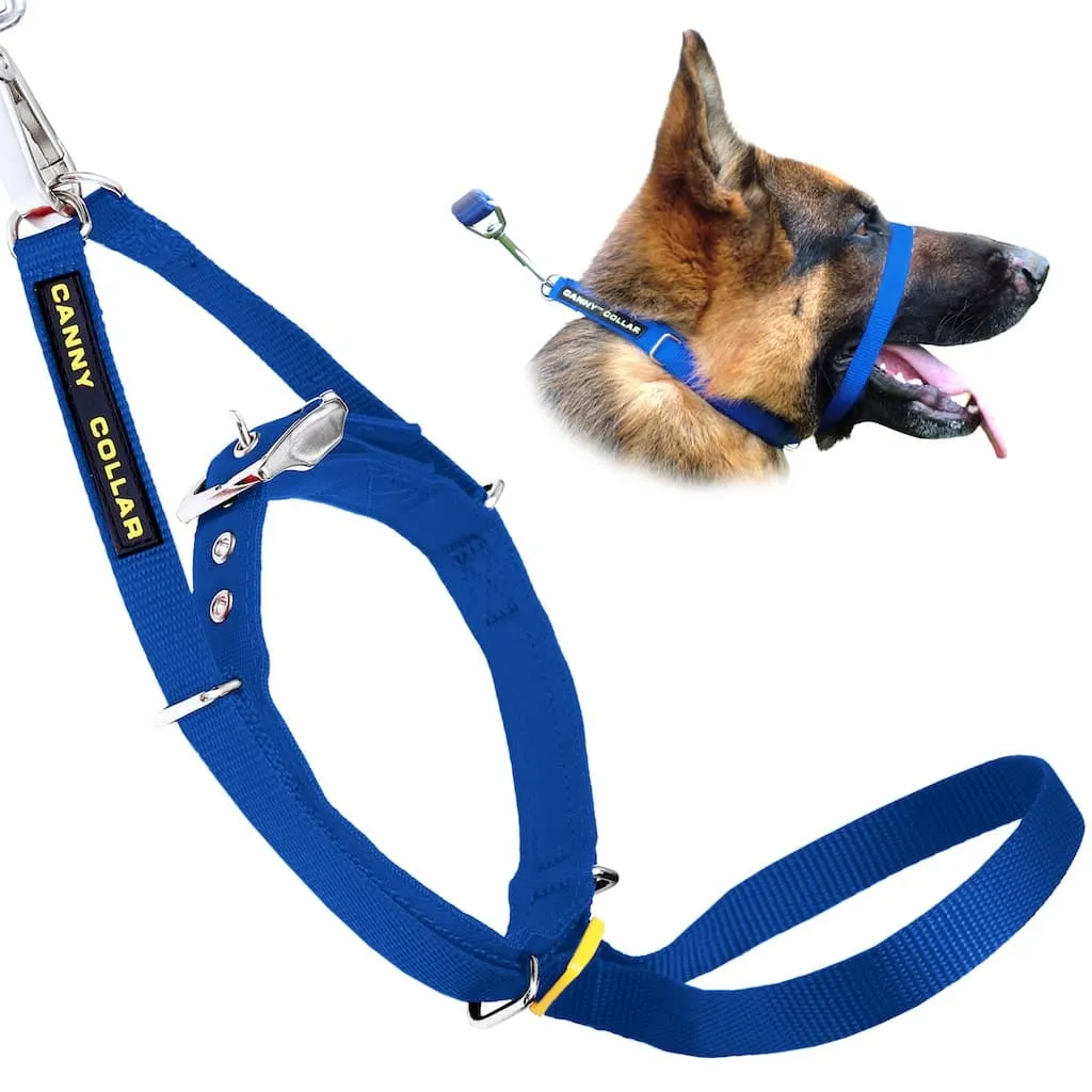 Canny Collar No Pull Dog Collar