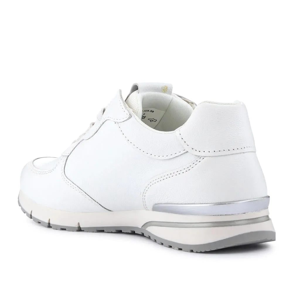 Casual Lace-Up Trainers - GAB41518 / 327 032