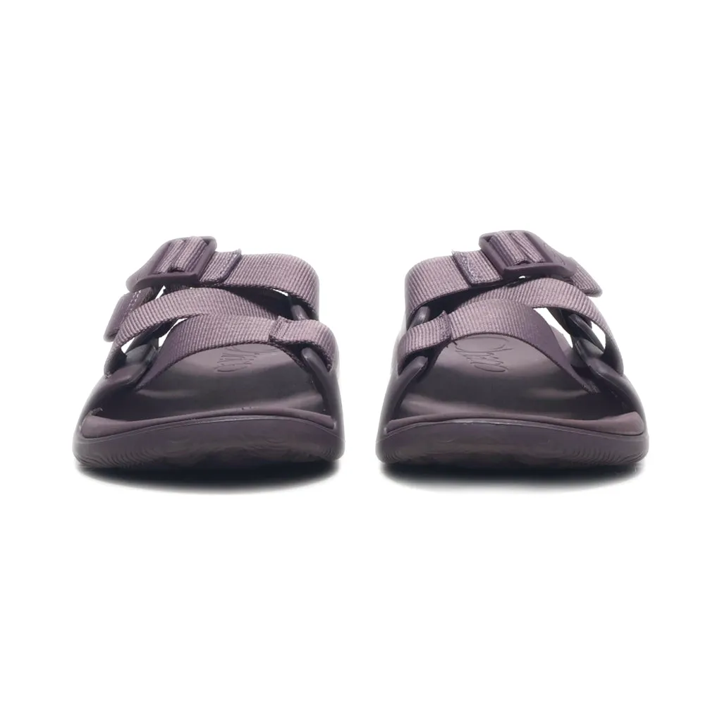 Chaco Chillos Flat Sandals Canvas Maroon Colour For Women