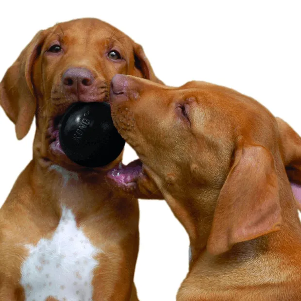 Kong Dog Extreme Ball