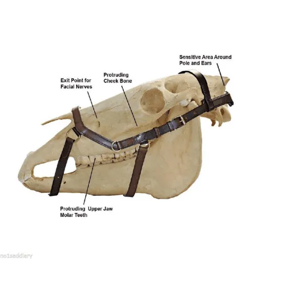 Micklem bridle