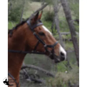 Micklem bridle