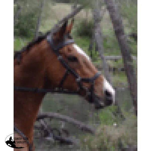 Micklem bridle