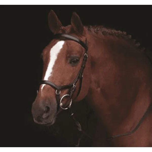 Micklem bridle