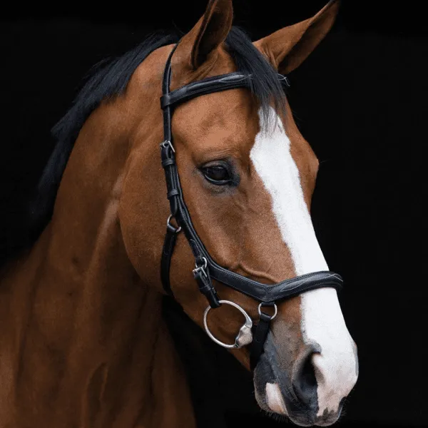 Micklem bridle