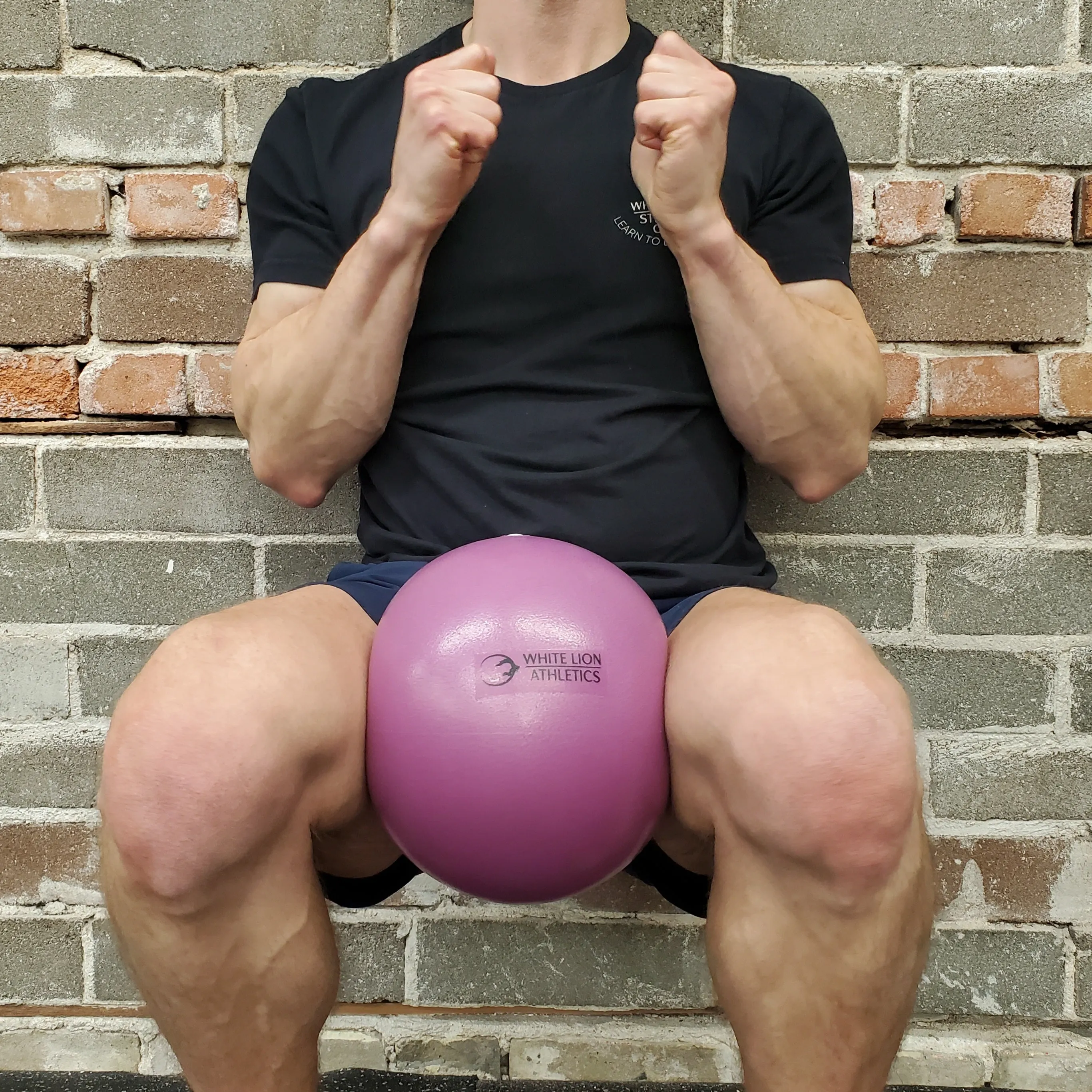 Mini Stability Ball (8")