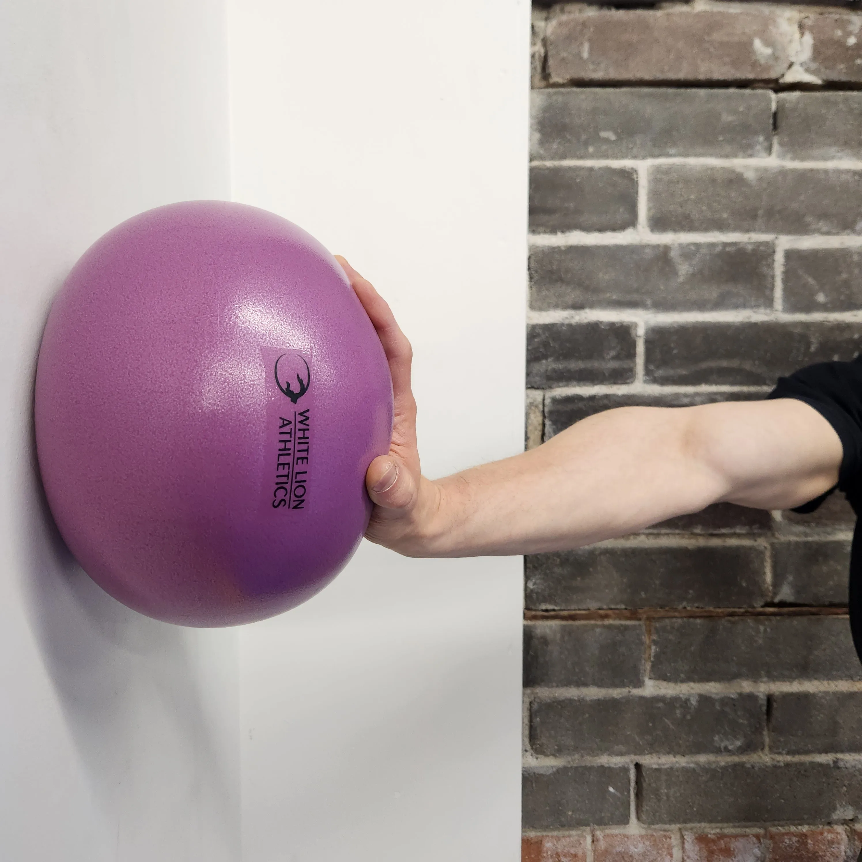 Mini Stability Ball (8")