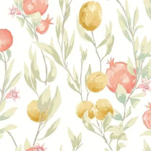 OHPOPSI | Pomegranate Trail Olive