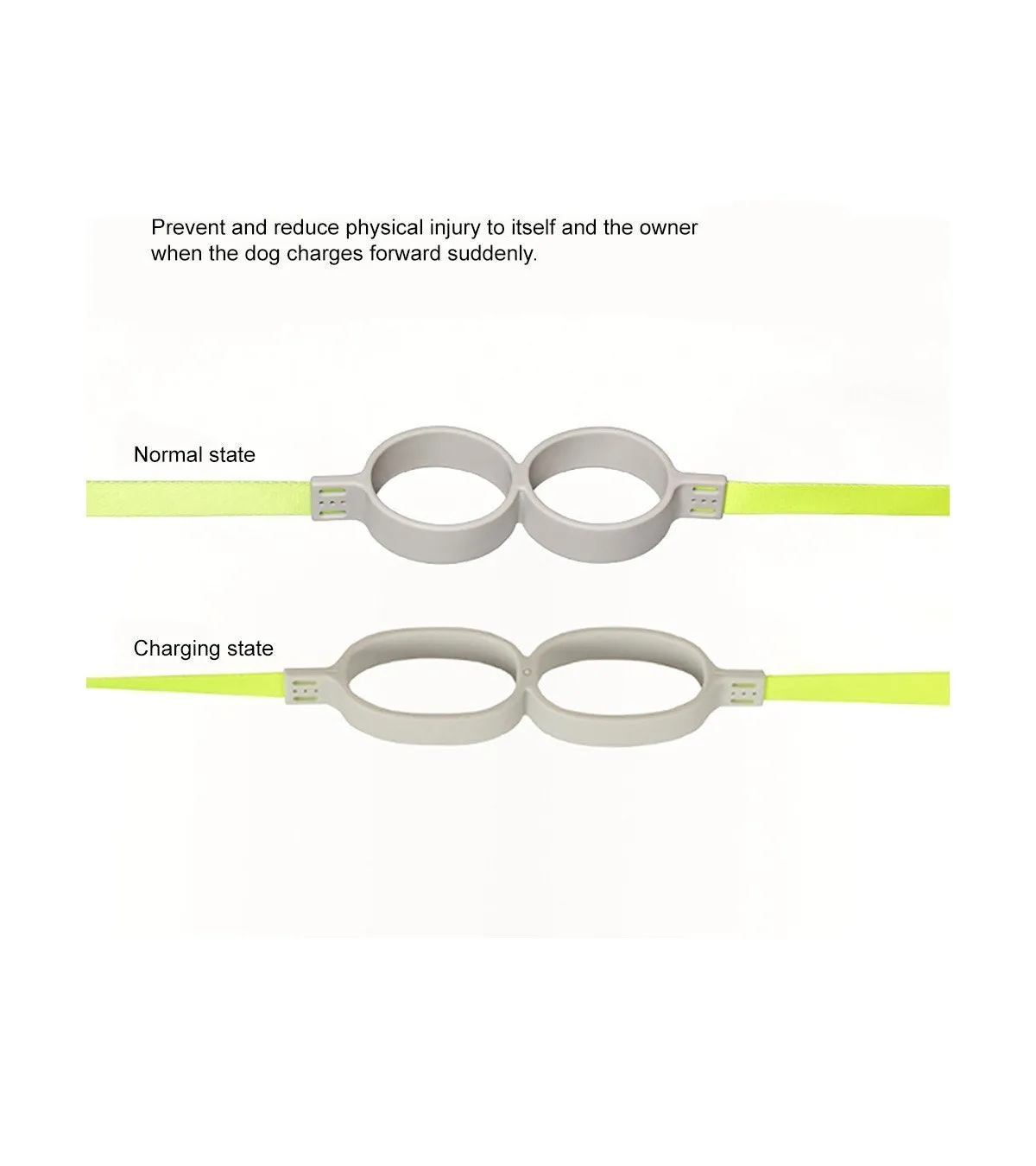 pidan - Shock Absorbing Dog Leash