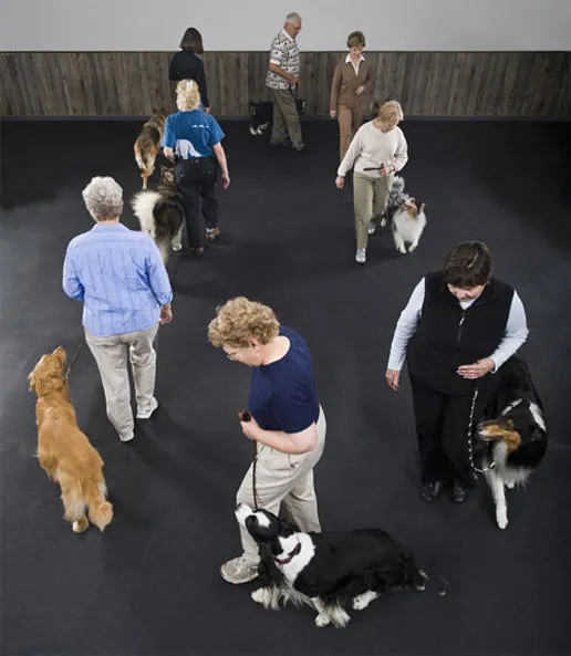Plain Rubber Kennel Flooring