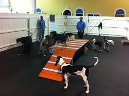 Plain Rubber Kennel Flooring