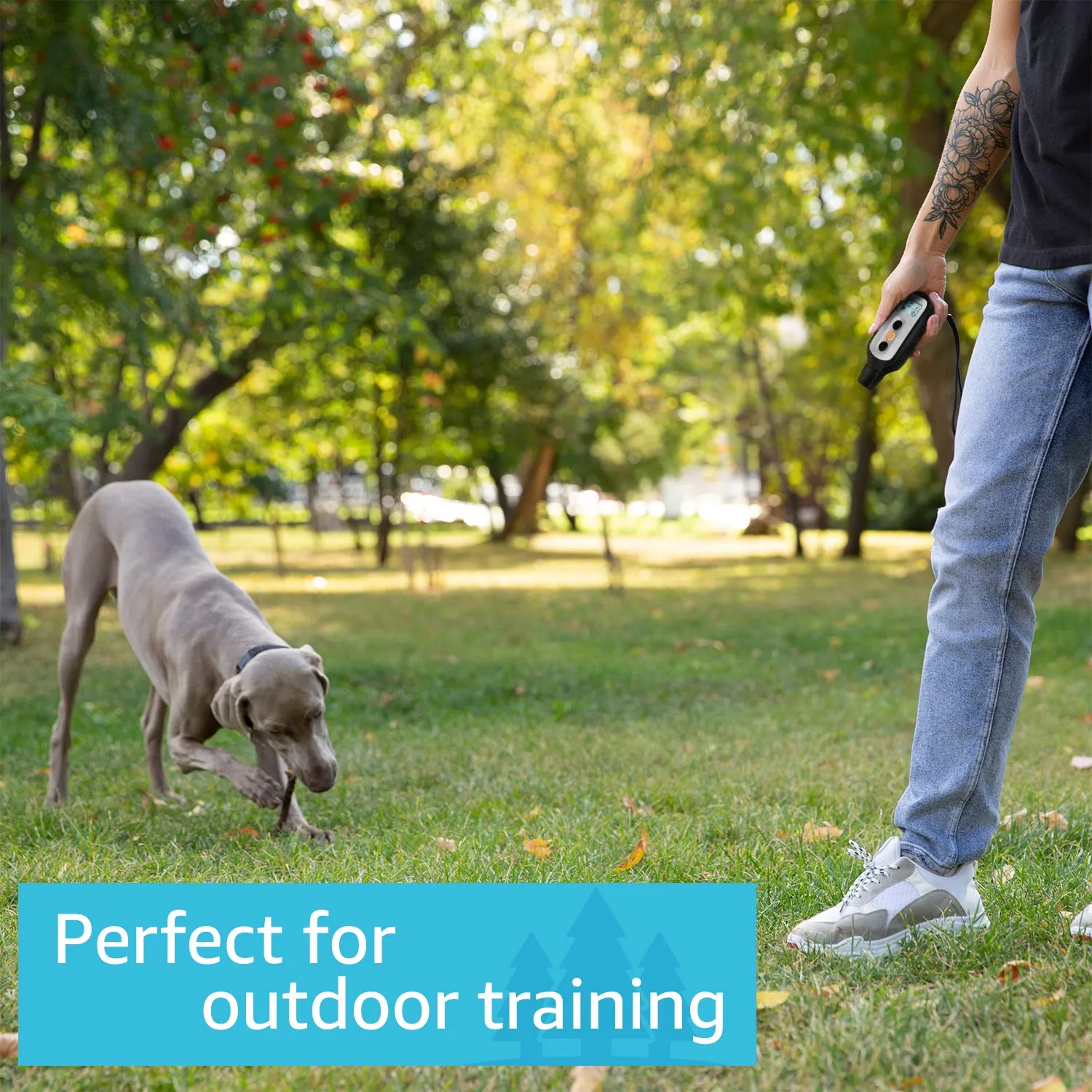 XPro Remote Dog Training Collar